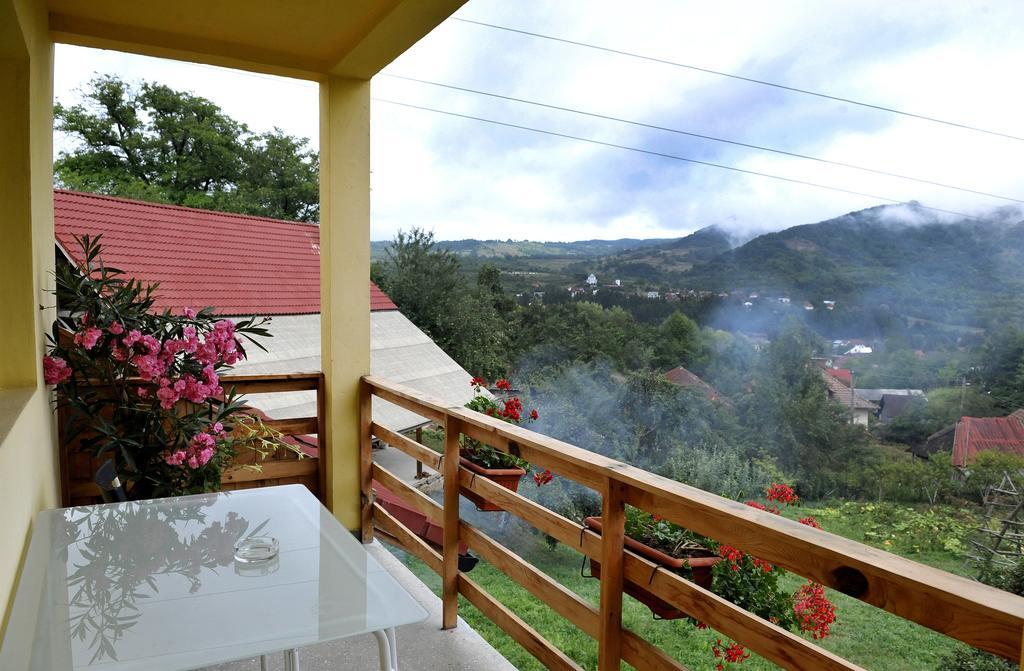 Pensiunea Tiuta Otel Corbeni Dış mekan fotoğraf