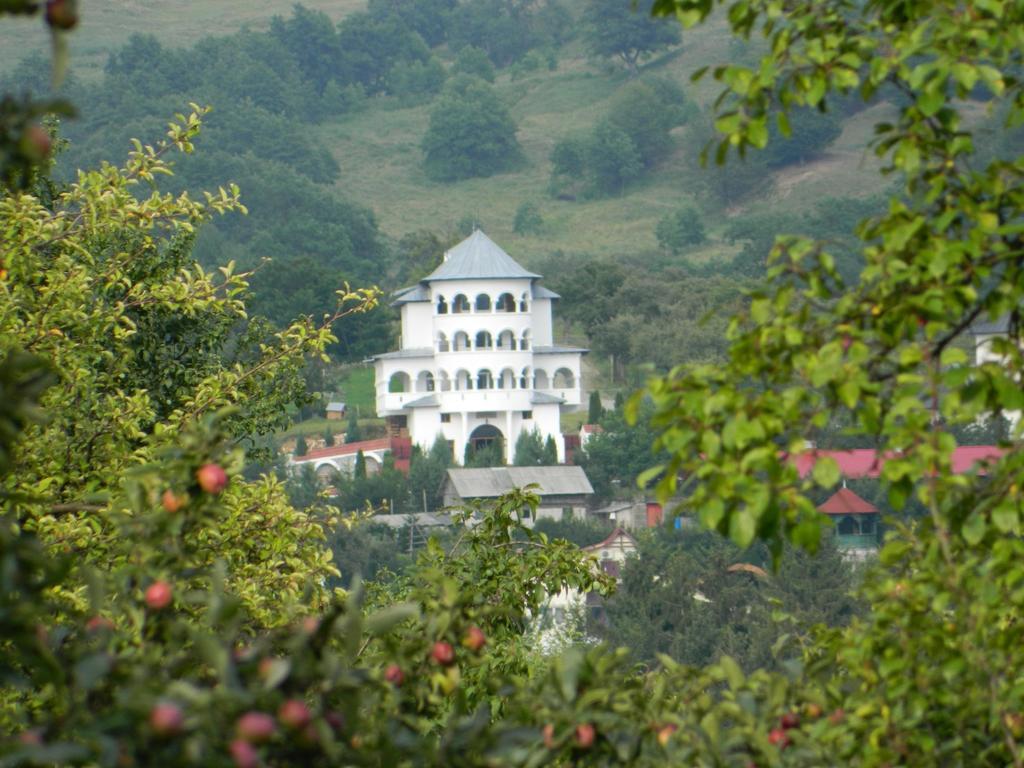 Pensiunea Tiuta Otel Corbeni Dış mekan fotoğraf
