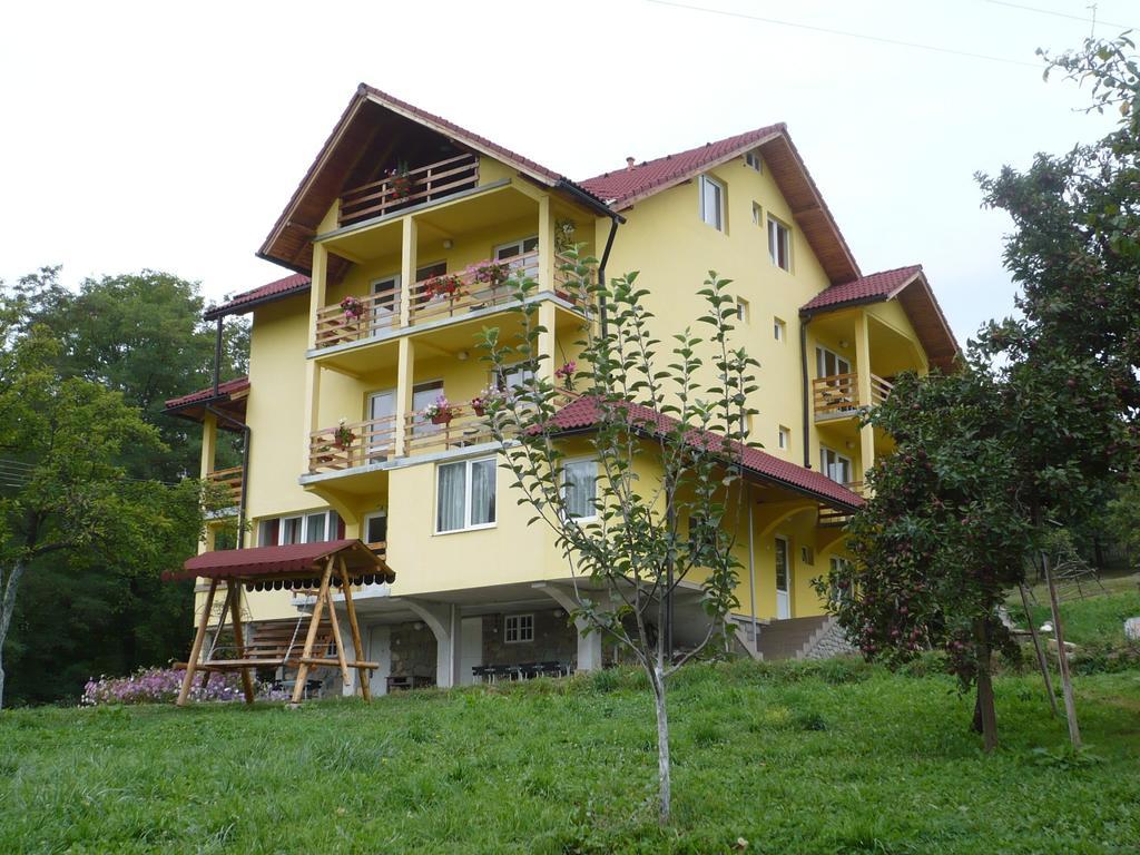 Pensiunea Tiuta Otel Corbeni Dış mekan fotoğraf