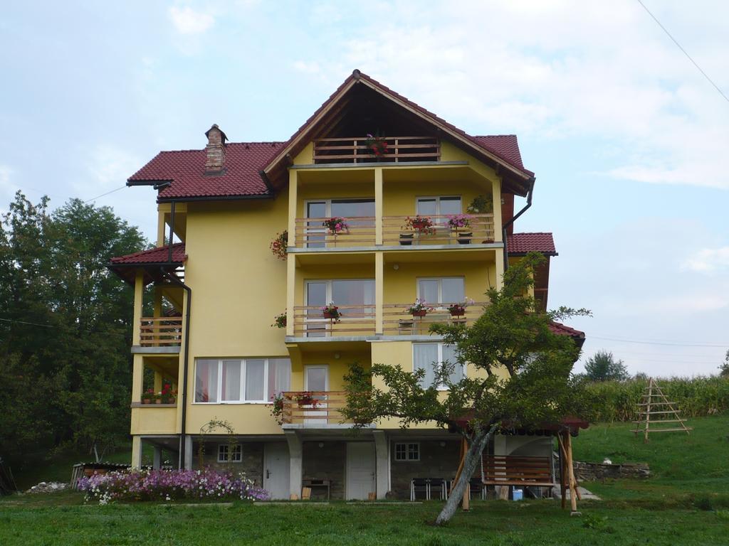 Pensiunea Tiuta Otel Corbeni Dış mekan fotoğraf